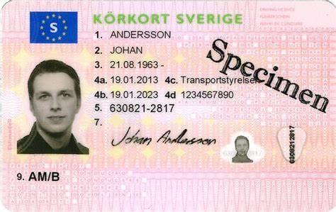 synundersökning körkort specsavers